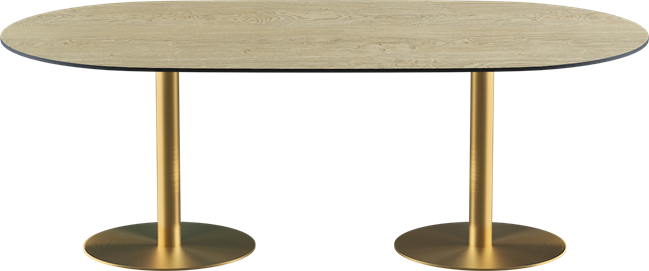 Gold Halo Dining Table